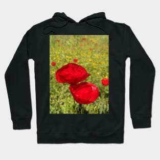 Greek Wildflowers poppy and calendula meadow Hoodie